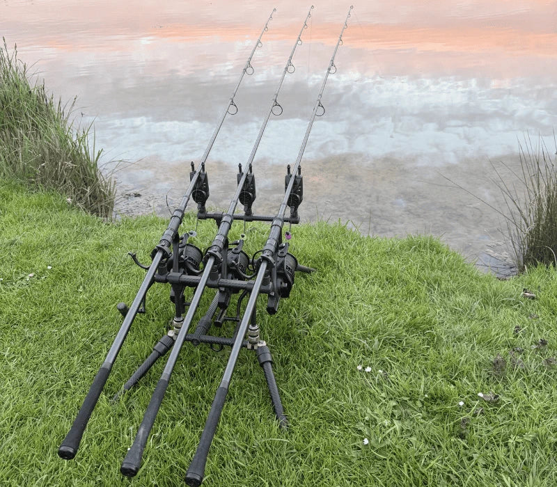 Lot de 3 cannes à carpe identiques montées sur rod-pod au bord d'un étang au lever du jour