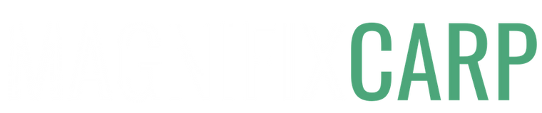 Magnifixcarp blog pêche à la carpe