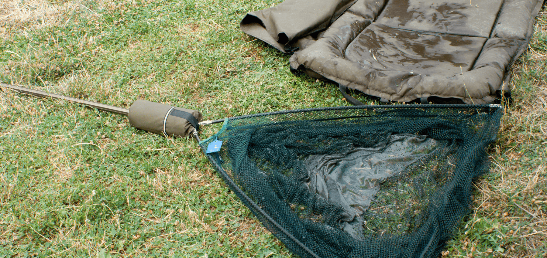 manche epuisette carpe