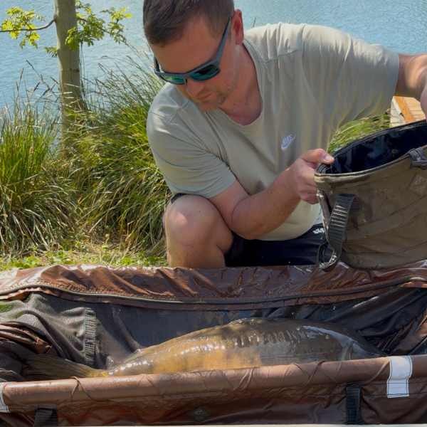 Carpiste manipulant une carpe sur tapis de réception avec sac de pesée à proximité