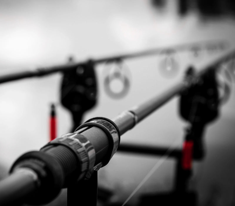 Équipement complet du carpiste : moulinet et canne en gros plan