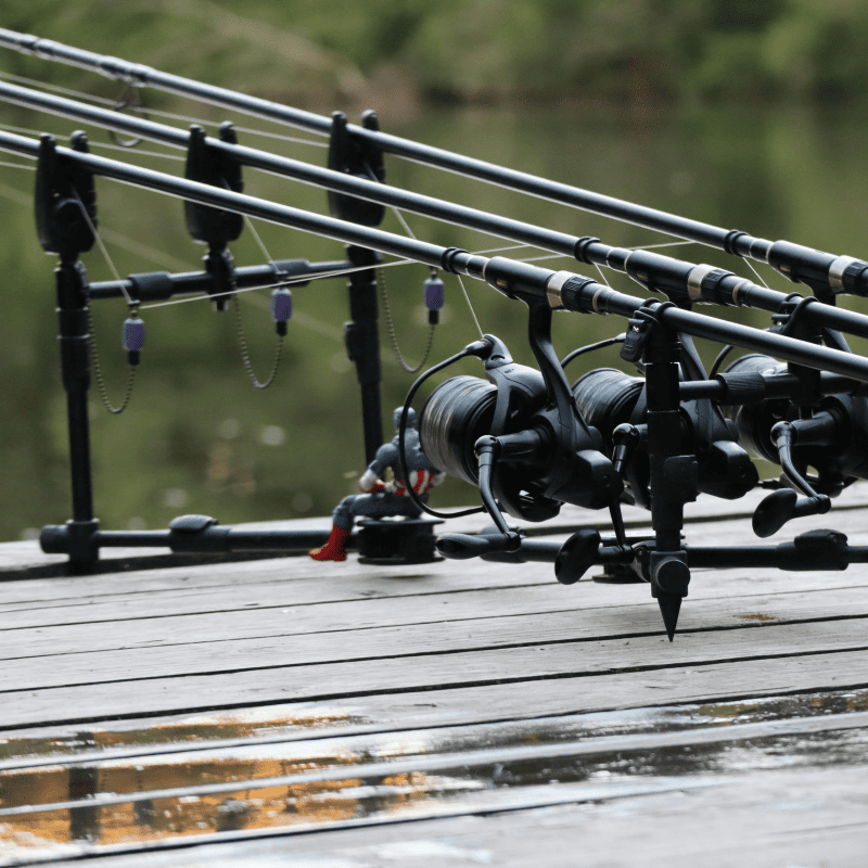 materiel de peche carpe