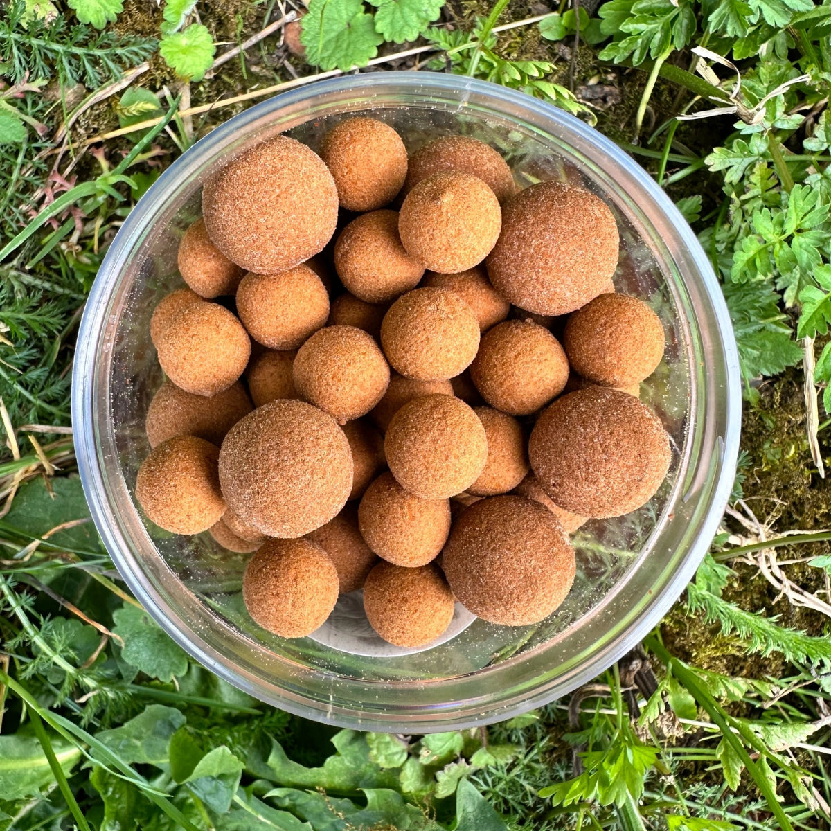 Bol de bouillettes Liver+, parmi les meilleurs appâts carpe riches en protéines