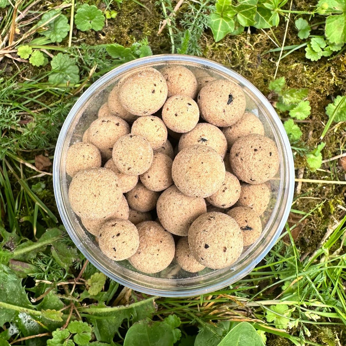 Pot de bouillettes Nutz+ à la noix tigrée, parmi les meilleurs appâts pour la carpe
