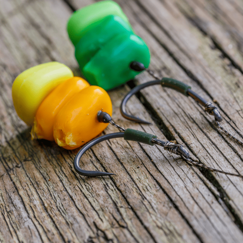 meilleur hamecon pour la carpe