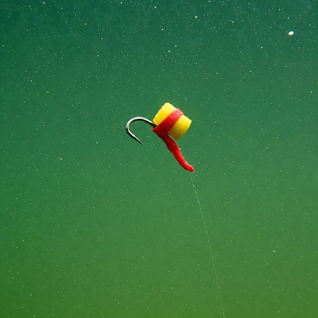 Montage zig rig pour la carpe avec appât en mousse en suspension entre deux eaux