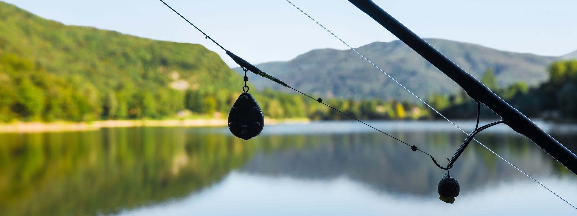 montage de pêche à la carpe