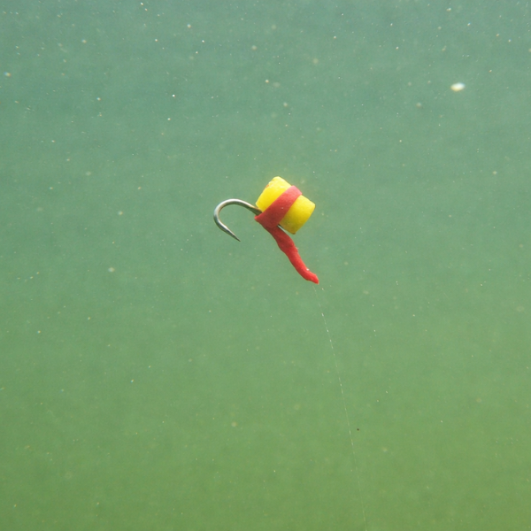 montage zig-rig pour la pêche de la carpe