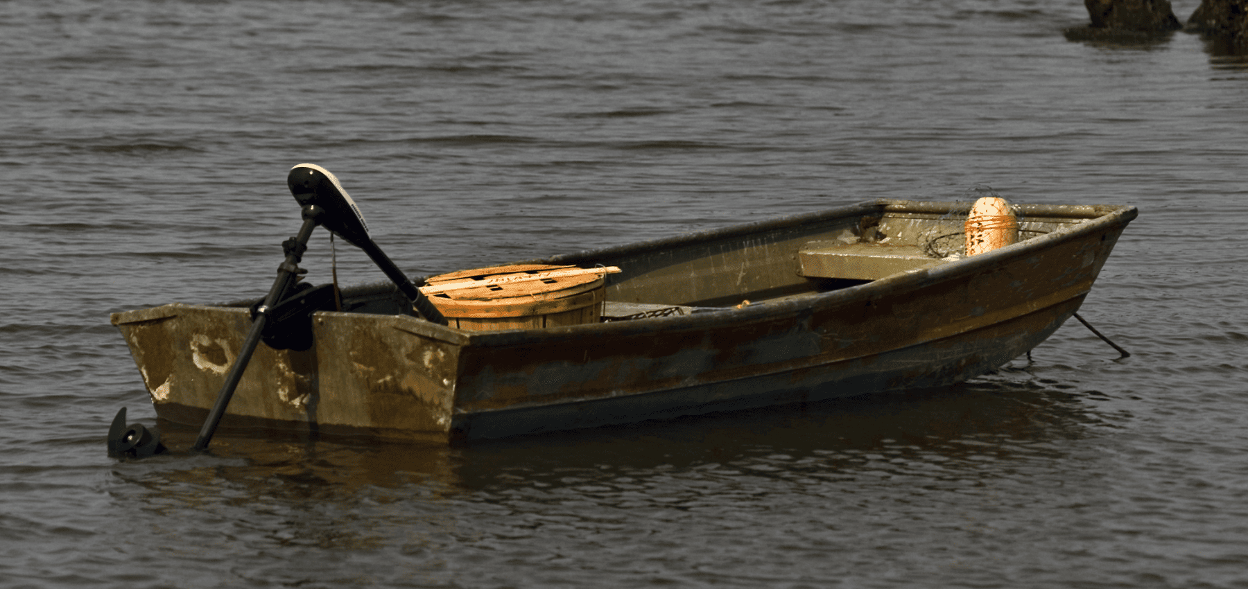 moteur electrique carpe