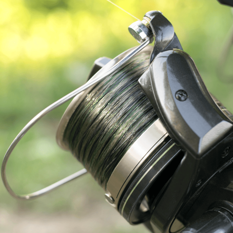 moulinet carpe daiwa