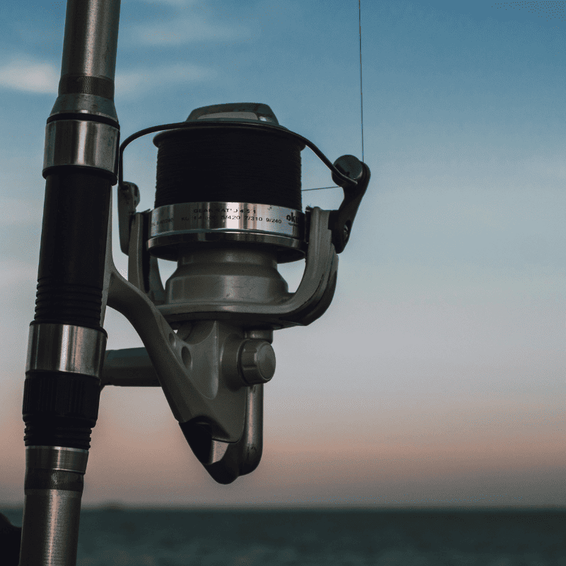 moulinet carpe decathlon