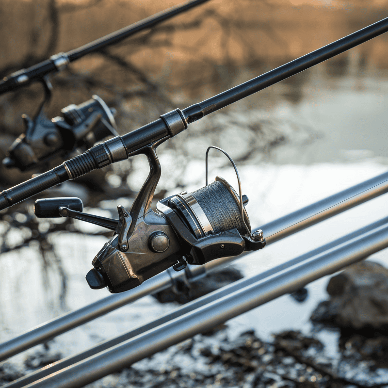 moulinet carpe shimano