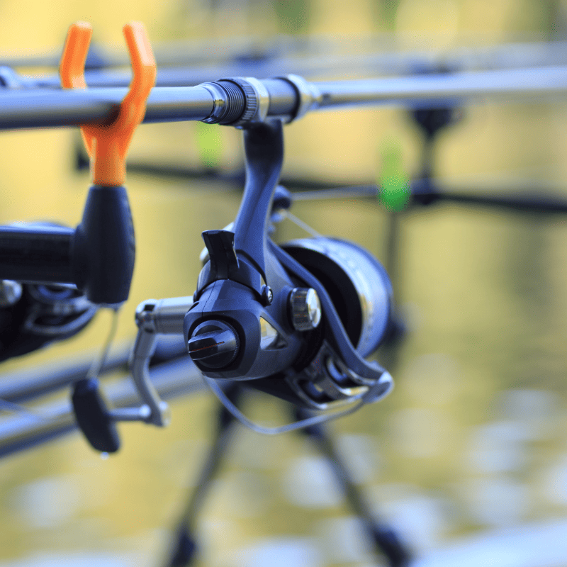 moulinet debrayable carpe