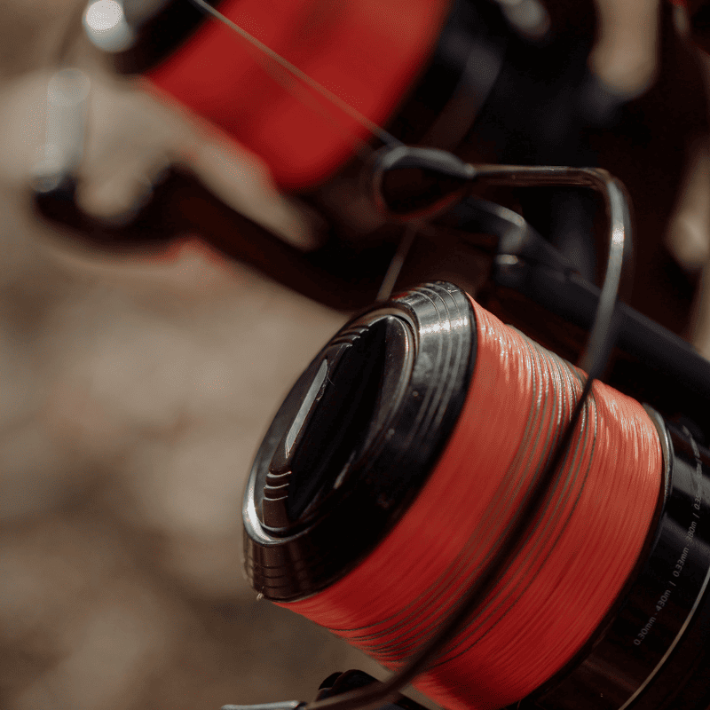 moulinet pas cher carpe