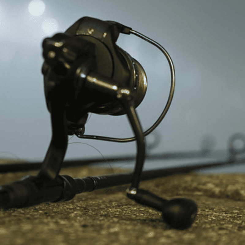 moulinet peche carpe