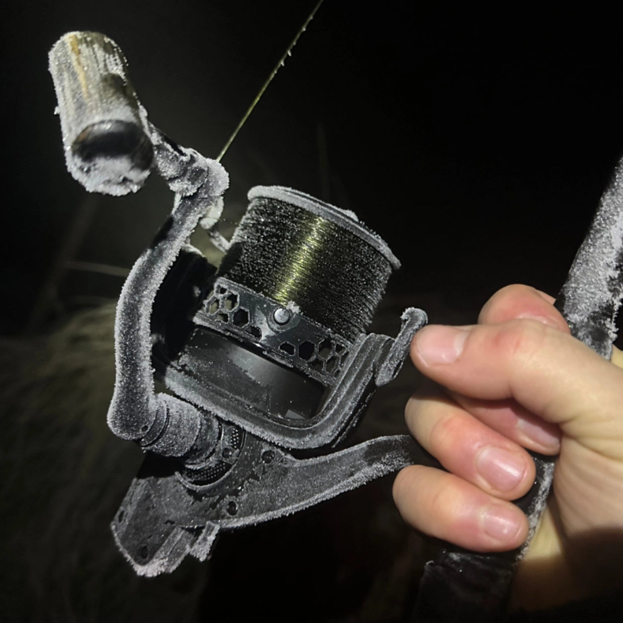 Moulinet carpe chargé en nylon monofilament, givré lors d'une session hivernale