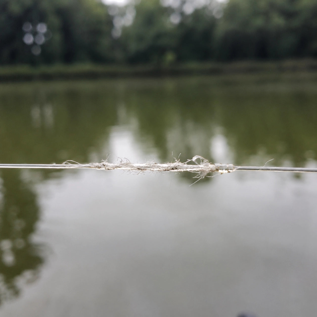 Nylon de pêche usé et abîmé montrant les effets du vieillissement aux UV