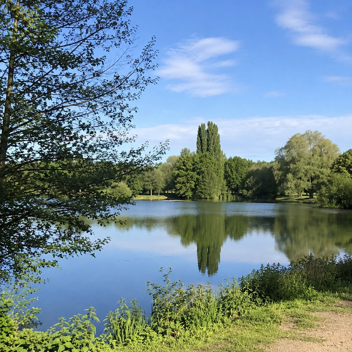 Berge aménagée et poste de pêche accessible à pied sur un plan d'eau associatif d'Eure-et-Loir