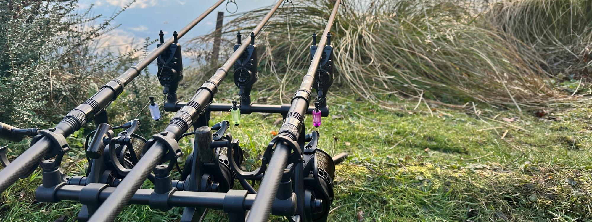 partenariat Magnifixcarp