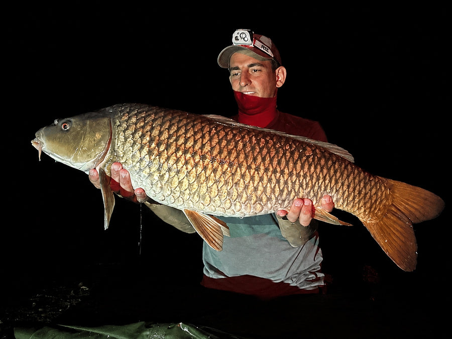 Carpe prise avec les appâts Magnifixcarp