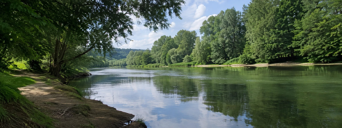 Rivière bordée d'arbres dans l'Aisne, secteur de pêche à la carpe