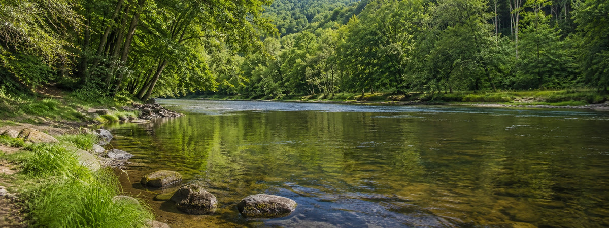 Rivière peu profonde bordée de forêt, berges de galets et eau limpide