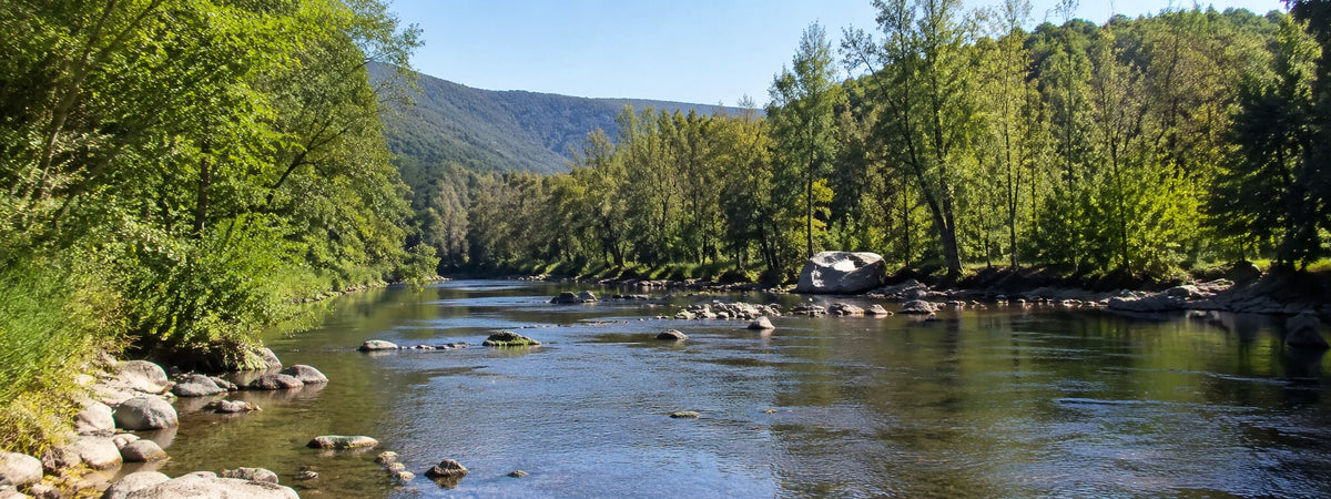Rivière aux eaux calmes bordée de galets et de forêts au pied des montagnes