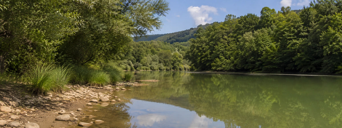 Fleuve Aude bordé de collines boisées, département de pêche de la carpe