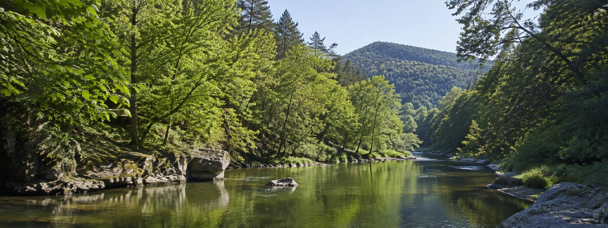 Rivière encaissée et boisée du Massif Central en Aveyron, département de pêche de la carpe