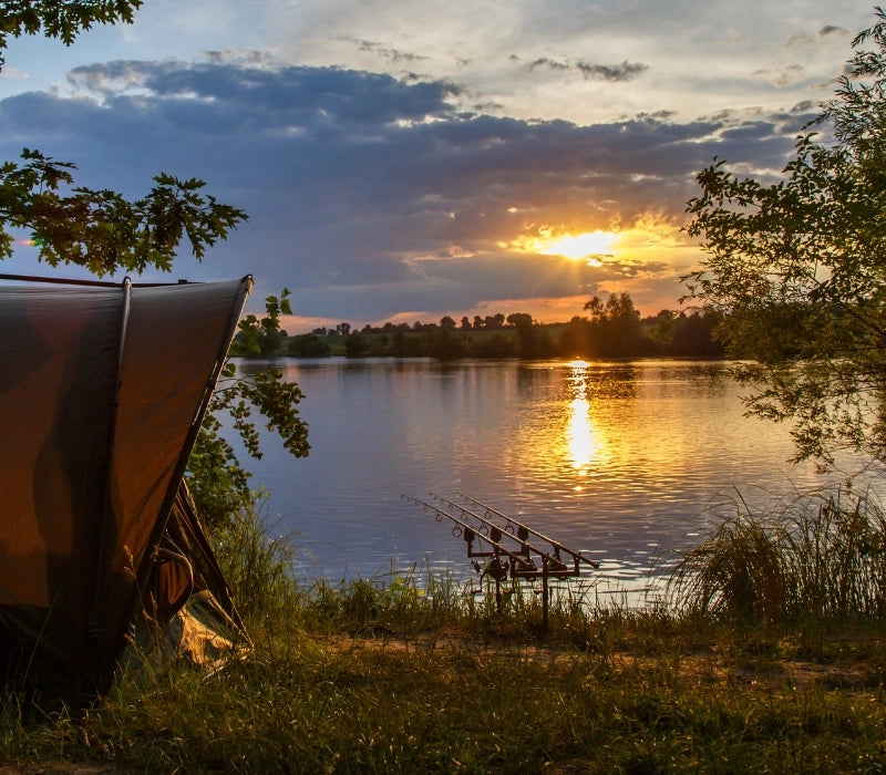 Pêche à la carpe en cors sur un plan d'eau calme avec un couché du soleil