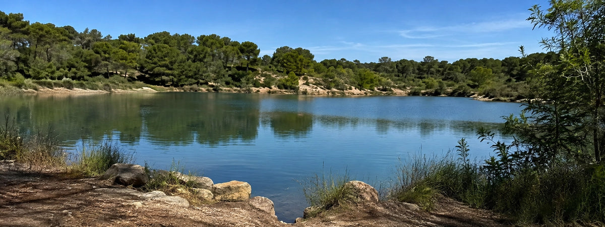 Plan d'eau entouré de garrigue et de pins dans les Bouches-du-Rhône, département de pêche de la carpe