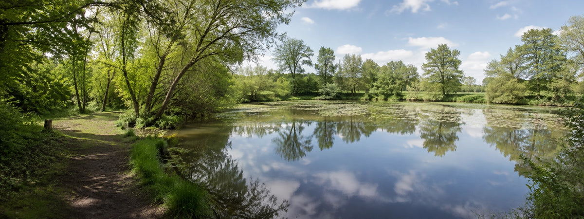 Étang de bocage boisé en Normandie dans le Calvados, département de pêche de la carpe