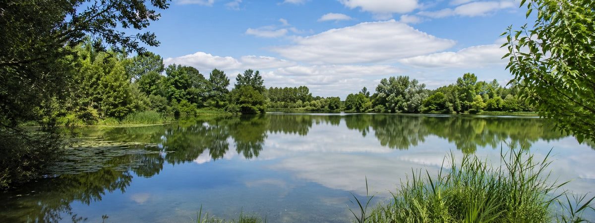 Plan d'eau calme et boisé de la vallée de la Charente, département de pêche de la carpe