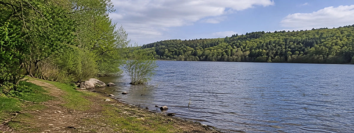 Lac aux berges boisées et chemin de rive, illustrant la pêche de la carpe dans les Côtes-d'Armor