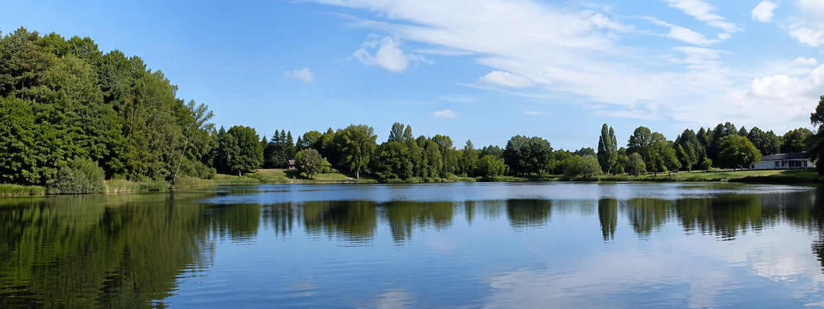 Plan d'eau bordé de bois en Dordogne, terrain de pêche à la carpe en Périgord