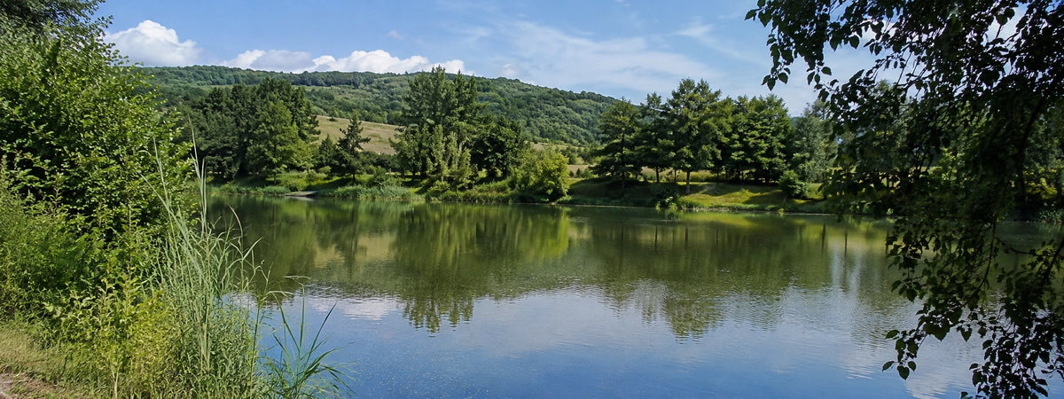 Lac boisé au pied des coteaux en Haute-Garonne