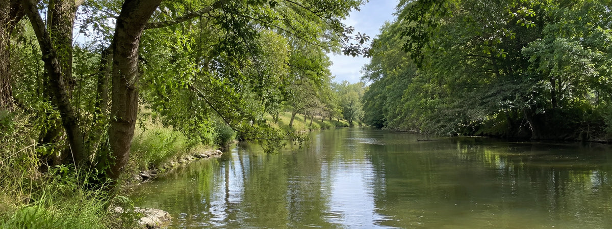 Rivière lente aux berges boisées en Ille-et-Vilaine, terrain typique des parcours carpe de nuit
