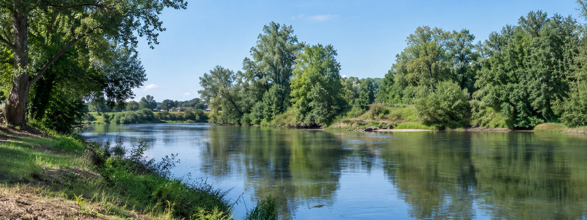 Rivière large et lente aux berges boisées dans l'Indre, terrain de prédilection du carpiste