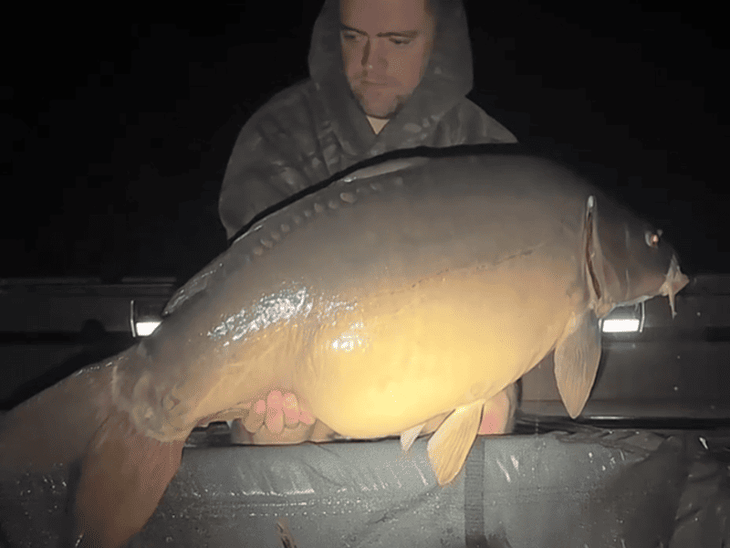 peche a la carpe