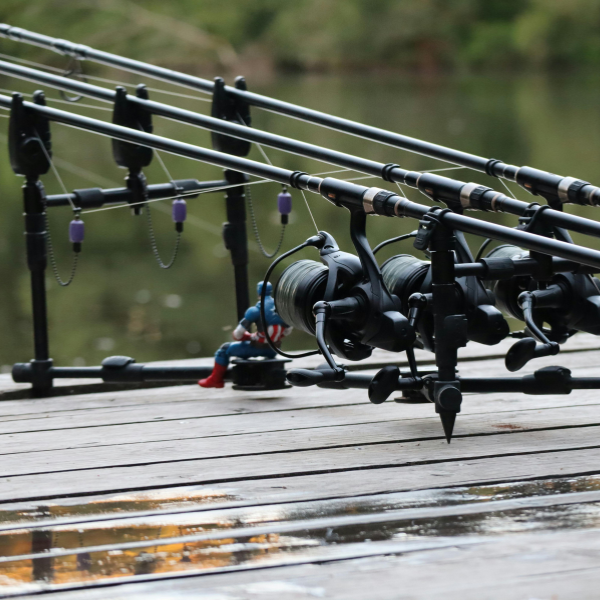 pêche batterie carpe