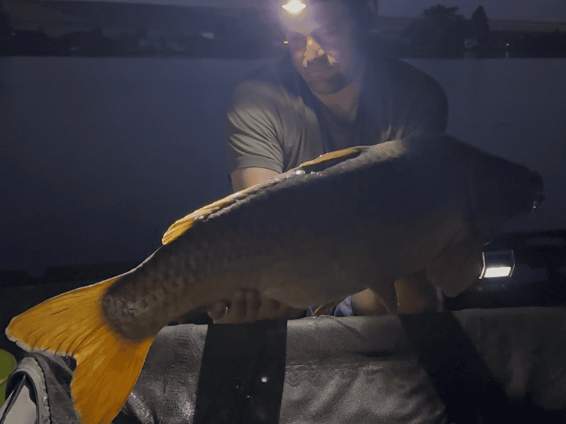 peche carpe de nuit