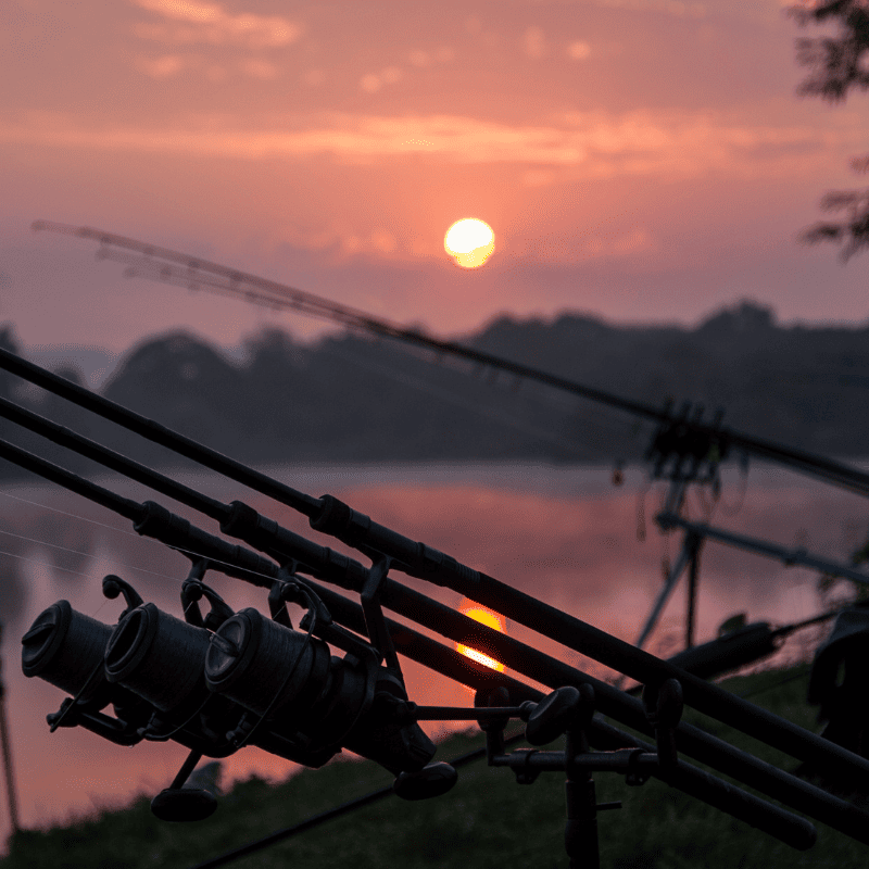 peche carpe en hiver