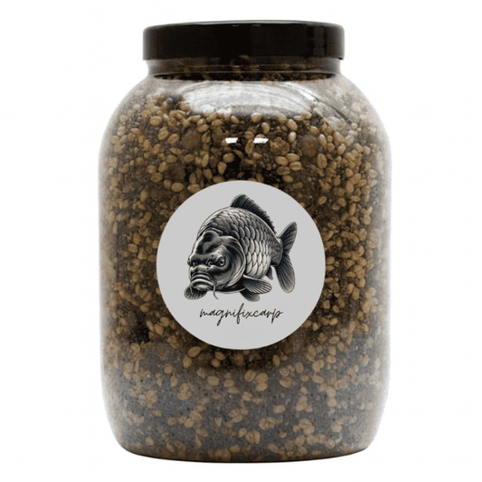 peche carpe graine