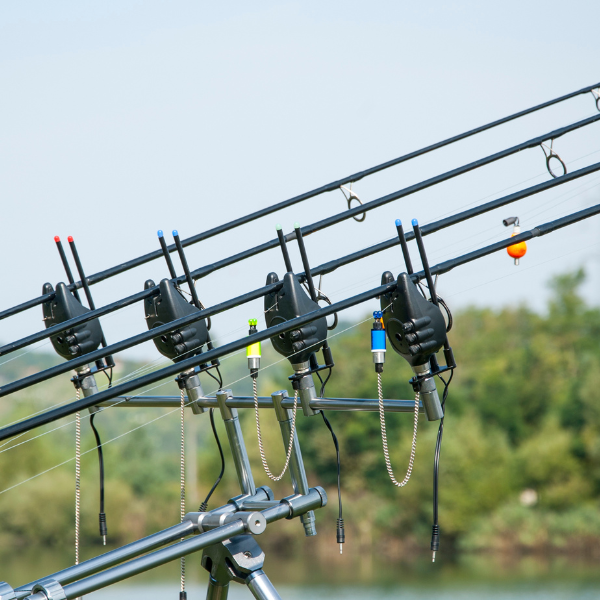 pêche carpe rivière