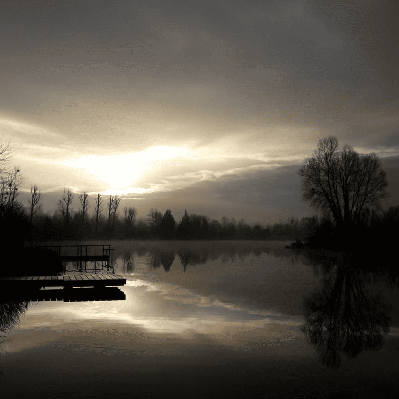 peche de la carpe de nuit