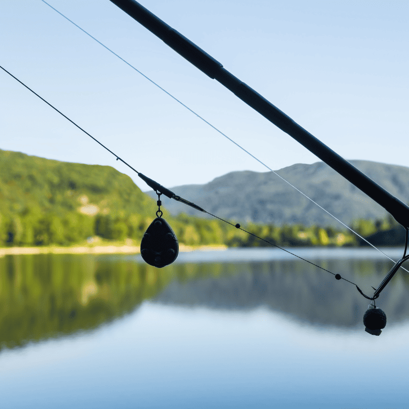 peche à la carpe montage