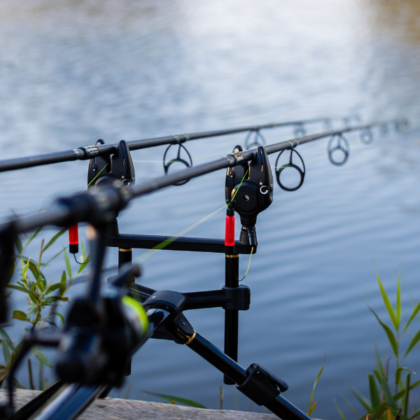 pêche zig rig carpe