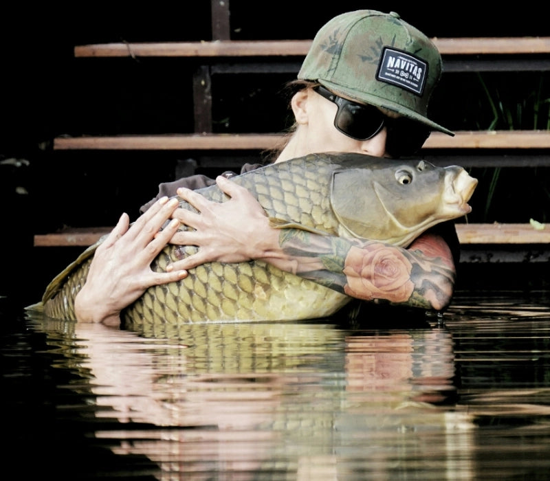 Carpe commune tenue par un carpiste devant un ponton