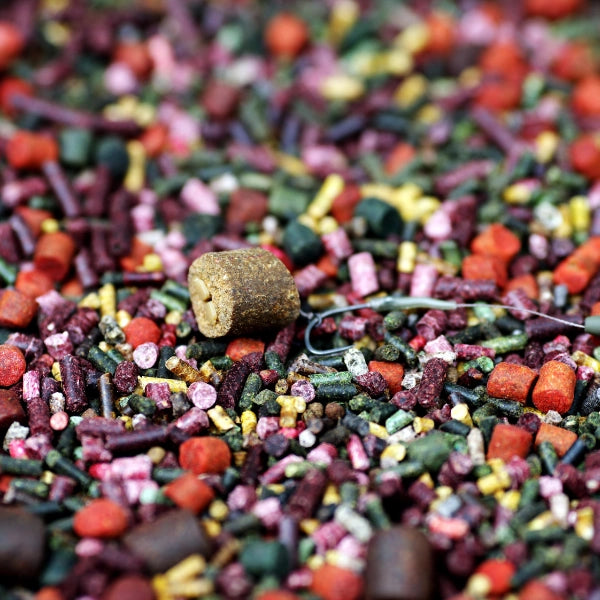 Pellets colorés pour la pêche à la carpe avec pellet d'eschage monté sur cheveu