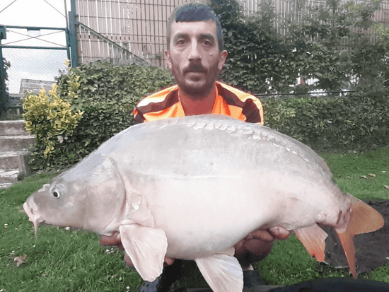 poisson etang